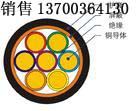 遼陽ASTP485電纜120歐姆生產(chǎn)，遼陽RS485電