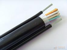 吳江銷售化工設(shè)備本安電纜，吳江供應(yīng)IAKVVR電纜生產(chǎn)，