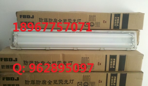 防爆熒光燈BAY51-Q-2*36W-b-WF2