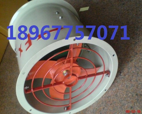 防爆軸流風(fēng)機(jī)BT35-315MM 0.75KW 380V