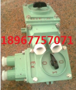 防爆轉(zhuǎn)換開(kāi)關(guān)BHZ51-25/3 25A IP54