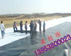 宜春覆膜型膨潤(rùn)土防水毯生產(chǎn)廠家》膨潤(rùn)土墊gcl