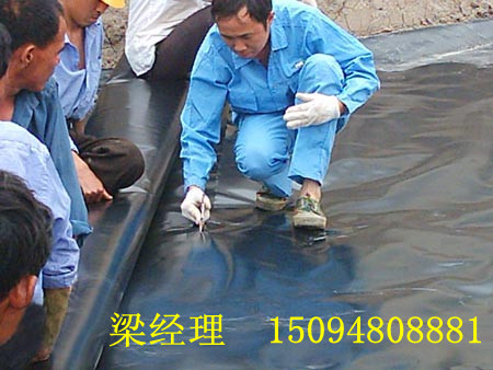 張家口防滲膜生產(chǎn)廠家——