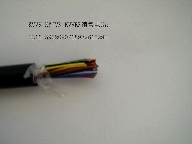 ̖|-PTYA23-28о