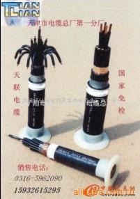 軟芯計(jì)算機(jī)電纜DJYVRP|DJYVP2