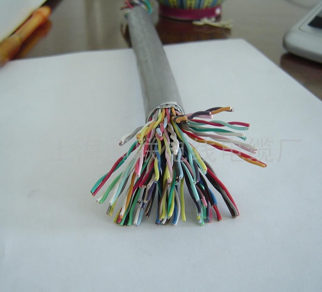 計(jì)算機(jī)電纜DJYVP DJYPVP電纜