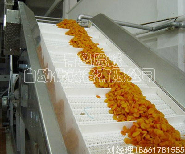 青島皮帶輸送機(jī)由青島騰躍自動(dòng)化設(shè)備有限公司供應(yīng)