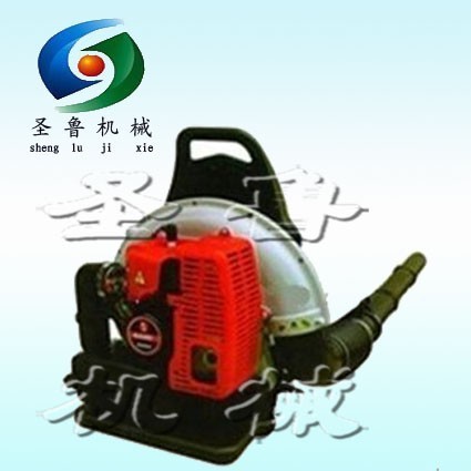 高風(fēng)路面吹風(fēng)機圣魯?shù)缆窚缁鹌? title=