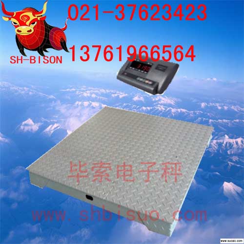 電子秤維修，耀華電子秤維修，快遞秤維修，專業(yè)維修電子秤