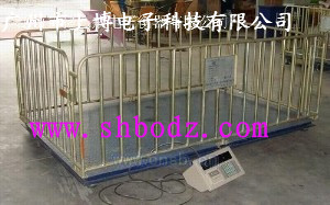 【牲畜電子平臺秤】—稱豬用的電子稱