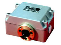 LX36-8λ_P(gun)