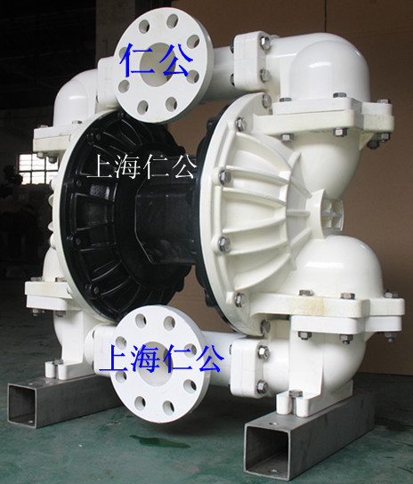 上海仁公高檔聚偏氟乙烯（PVDF）氣動隔膜泵RG80、電動隔膜泵
