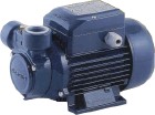 PQ60水泵，PEDROLLO-PQ60，PQ60水泵現(xiàn)貨