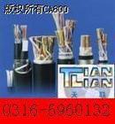 RVZ阻燃95平軟銅線