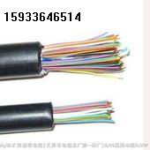 [供應(yīng)]指令電話(huà)線 HZPVY