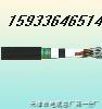 PZYA22-161.0L-PZY22zbF·̖(ho)|