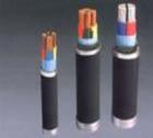 計算機(jī)電纜 鎧裝地埋計算機(jī)電纜