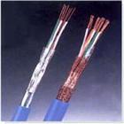 本質(zhì)安全電路計算機屏蔽電纜IA-DJYP2VP2 IA-DJYPV