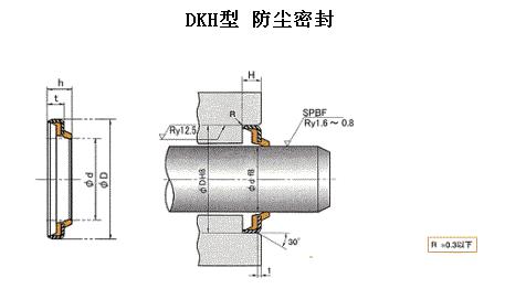 防塵DKH、dki軸往復(fù)運(yùn)動(dòng)密封圈-天津伊威井瑞專(zhuān)賣(mài)原裝進(jìn)口密封圈