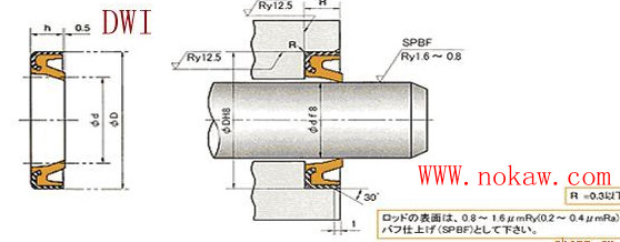 dwi、DKB/DKBI型密封圈，天津?qū)Ｙu原裝進口nok密封圈