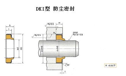 DKI往復(fù)運動防塵密封件-NOK密封件-天津伊威井瑞廠家專賣