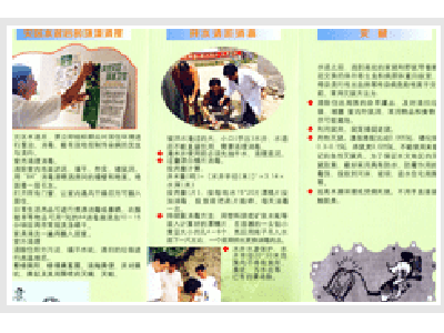 彩頁(yè)印刷