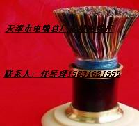 大對(duì)數(shù)電話電纜.HYAT系列充油電纜