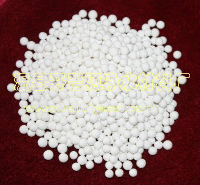 Xa(chn)S Xg(sh)ָ(bio) X;