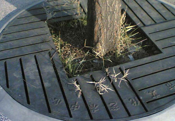 鑄鐵樹(shù)圍