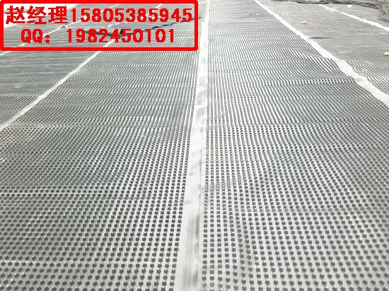 供應南京【園林綠化排水板】