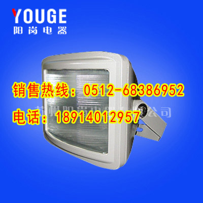 防眩應急通路燈防眩應急通路燈