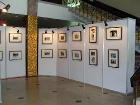 標準屏風(fēng)，隔斷隔墻展墻板