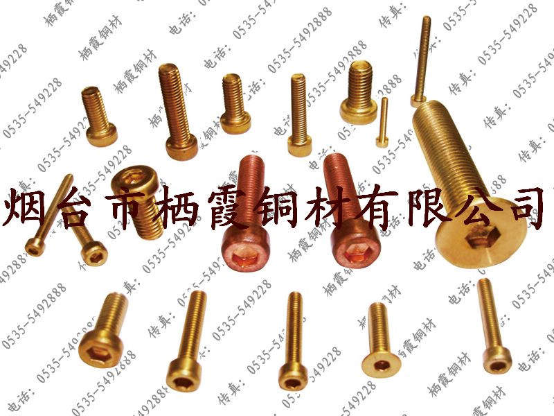 半沉頭銅螺釘，半圓頭銅螺釘
