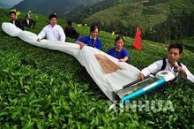 茶葉小規(guī)模企業(yè)實(shí)現(xiàn)了包裝自動(dòng)化