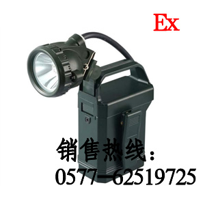 便攜式強(qiáng)光應(yīng)急工作燈，便攜式防汛工作燈，防汛應(yīng)急工作燈