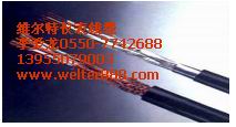 DJYPVP22、DJYPVP32鎧裝計(jì)算機(jī)電纜DJFP2FP2【維爾特】