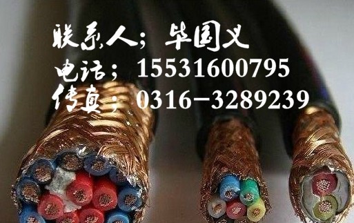 廠家銷(xiāo)售+解答到大慶MKVV電纜