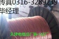 天津NH-YJV價(jià)格，NH-YJV22價(jià)格，NH-YJV32