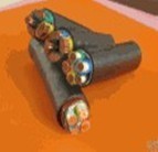 YJY0.6/1KV交聯(lián)聚乙烯絕緣聚乙烯護套電力電纜