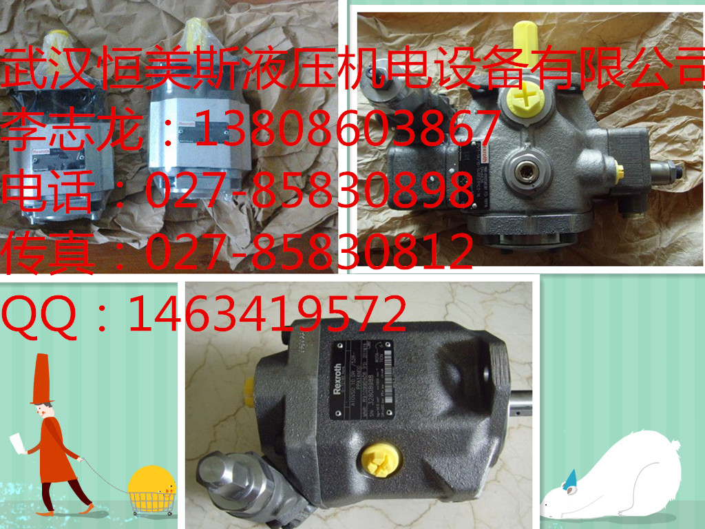 湖北AAA6VM250HA2T/63W1-VSD527FAE