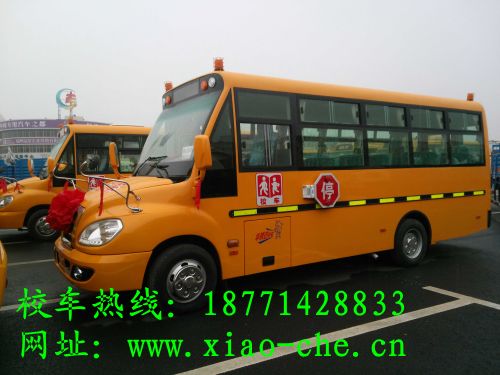 友誼牌校車價格桑植縣價格