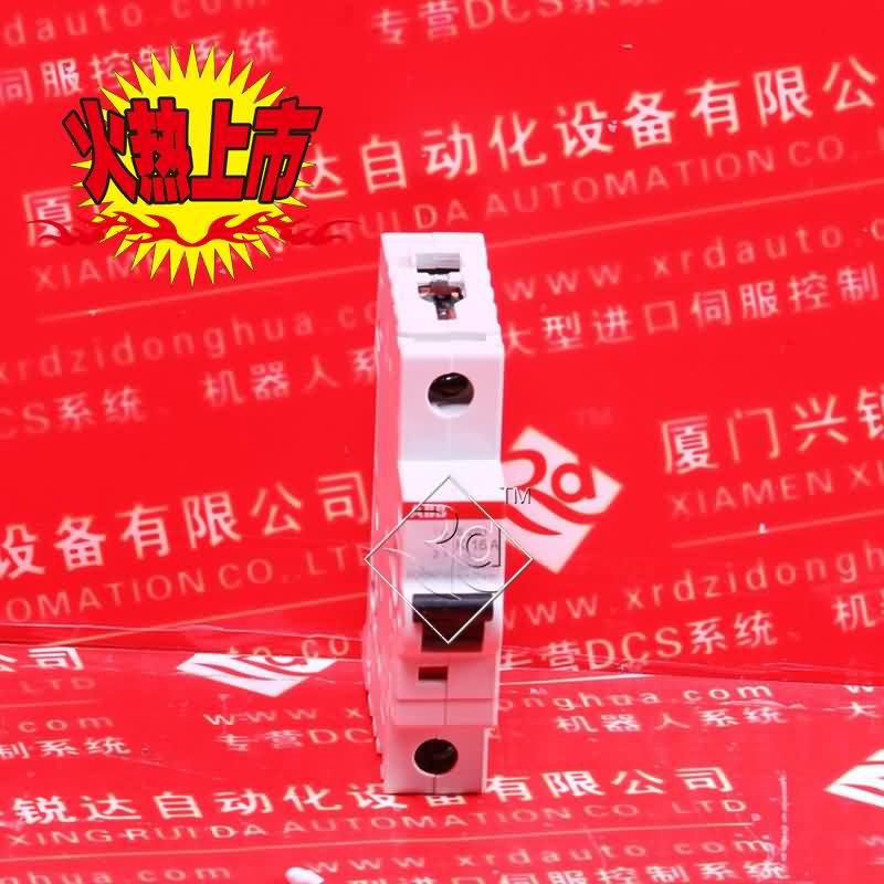 DSC3.1-100-115V AMAT物美價(jià)廉速來(lái)