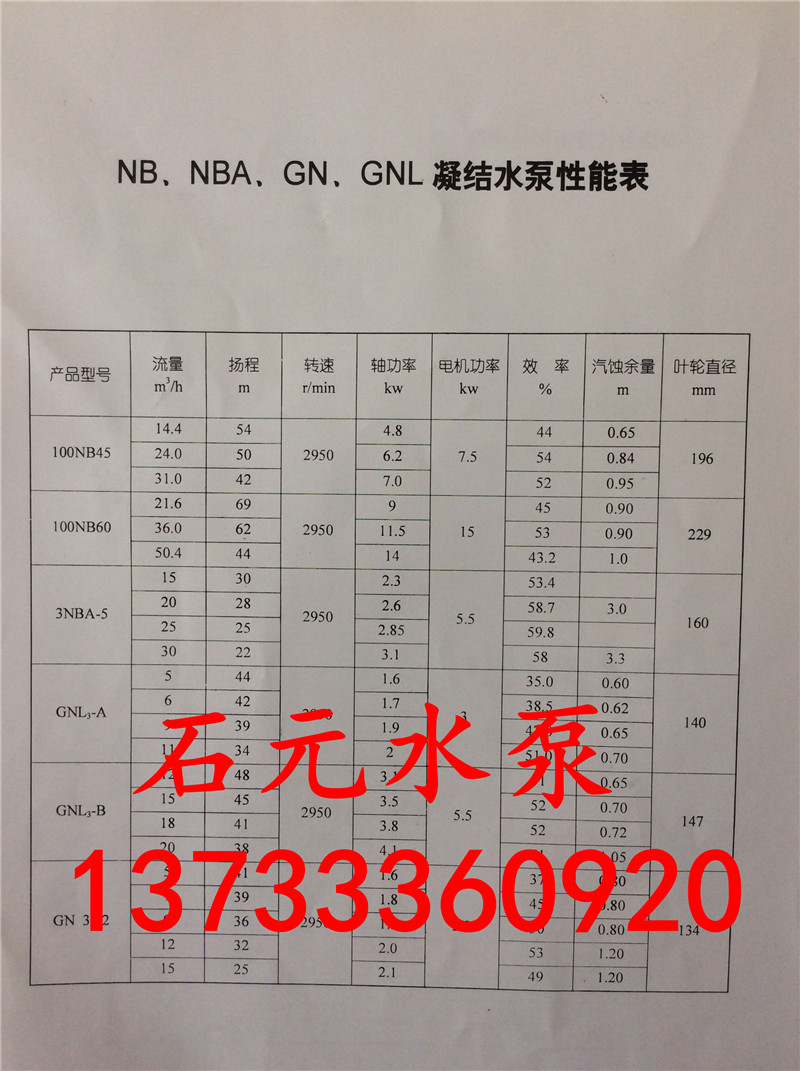 100nB60電廠冷凝泵_100nB60維修應該注意什么
