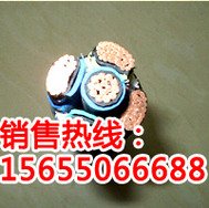 AFPF3*0.5͸ߜ||(yu)|(zh)Ʒ