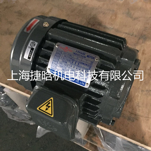 臺灣S.Y群策C02-63B0 2HP-6P內插式1.5KW液壓電機