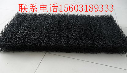 黑龍江速排龍總代理今日?qǐng)?bào)價(jià)