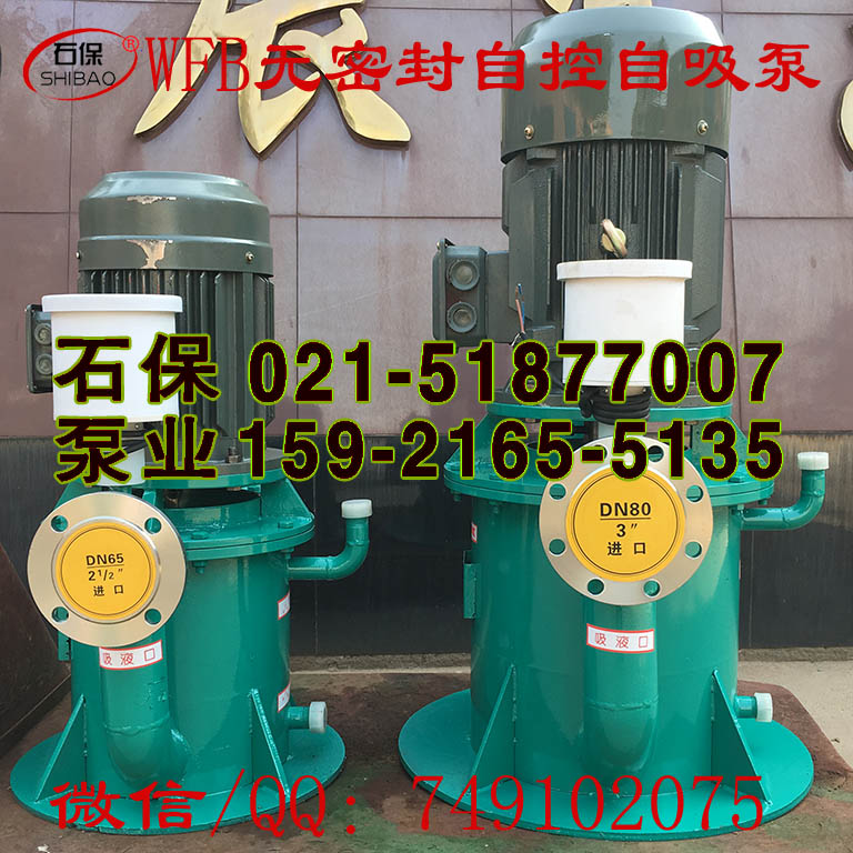 批發(fā)WFB型無(wú)密封自吸泵|100WFB-E1自吸泵|強(qiáng)自吸泵