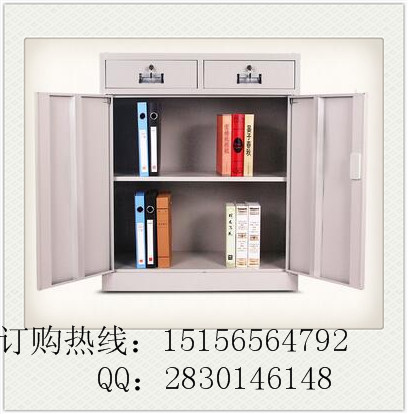 合肥儲物柜，合肥檔案柜，合肥文件柜廠家直銷免費送貨上門