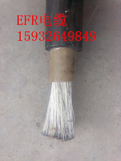 ZC-ERF0.6/1KV͉ȼ|(bo)r(ji)