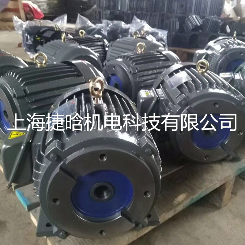 供應(yīng)C7B-43B0臺(tái)灣JDCO內(nèi)插式油泵電機(jī)